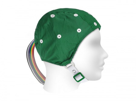 Электродная система Electro Cap  Нейрософт