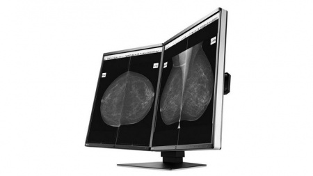 Фото товара: Диагностический дисплей EIZO RadiForce GX560 MammoDuo